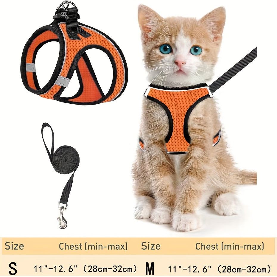 Cat Harness & Leash Set