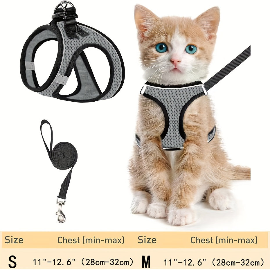 Cat Harness & Leash Set
