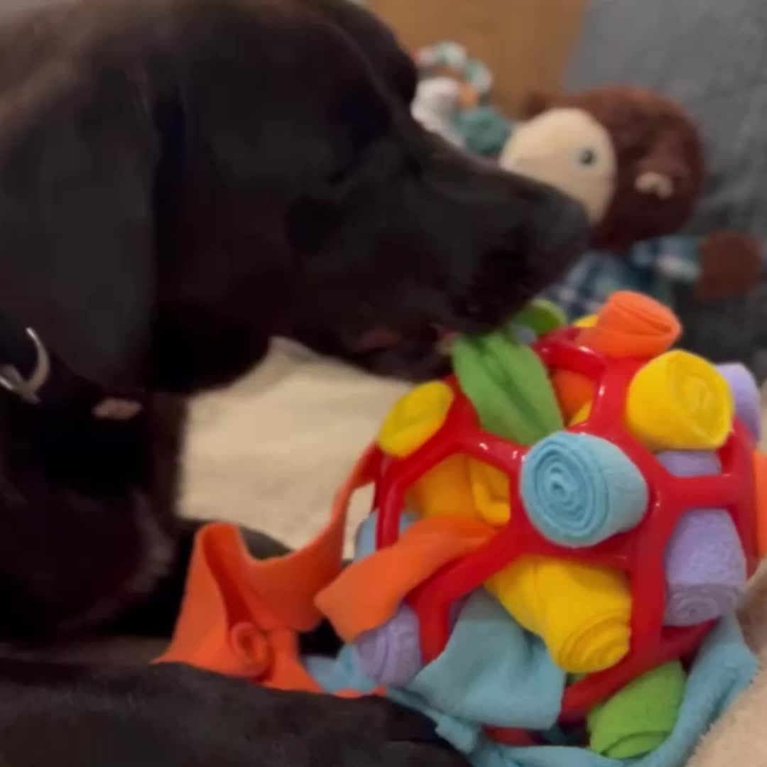 Sniffing Ball Dog Toys
