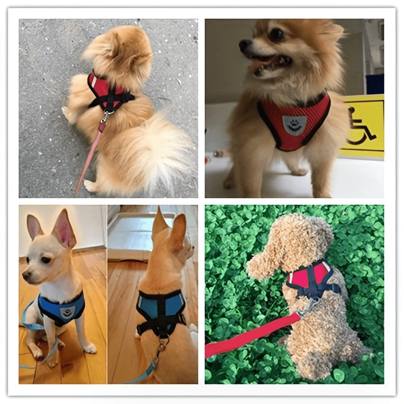 Adjustable Puppy Cat Vest Harness With Soft Mesh