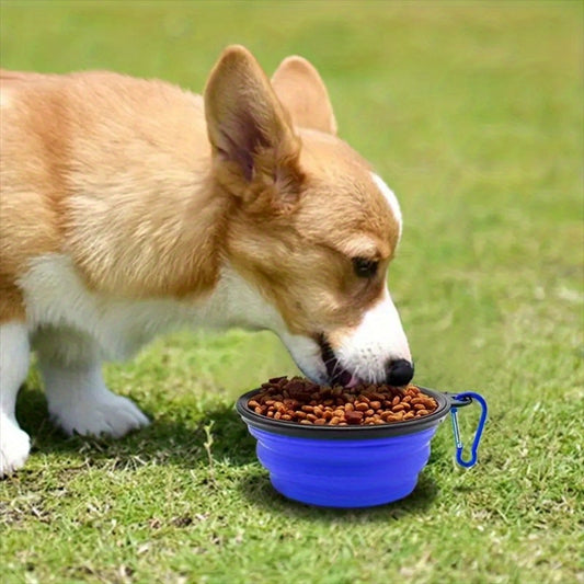 Portable Folding Water Bowl