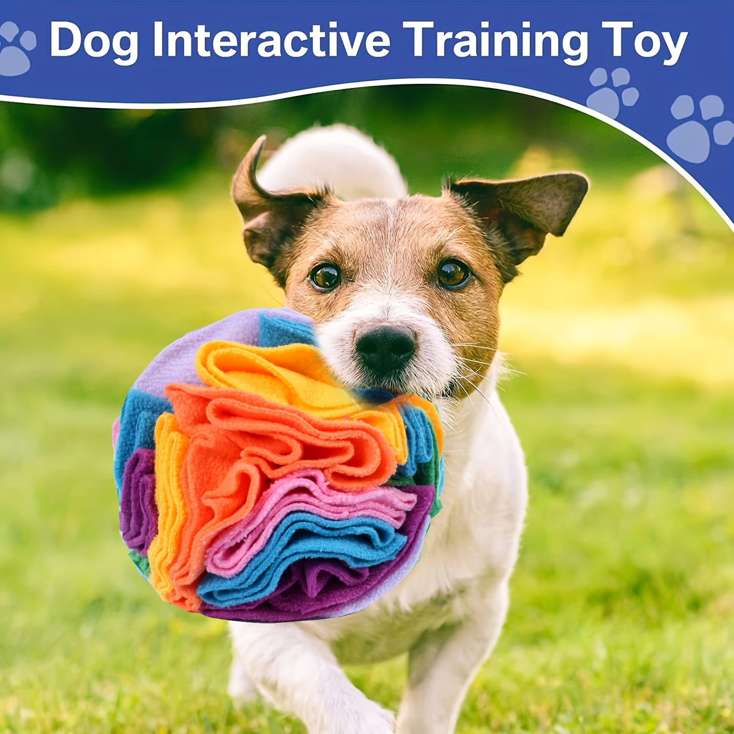 Snuffle Ball for Dogs