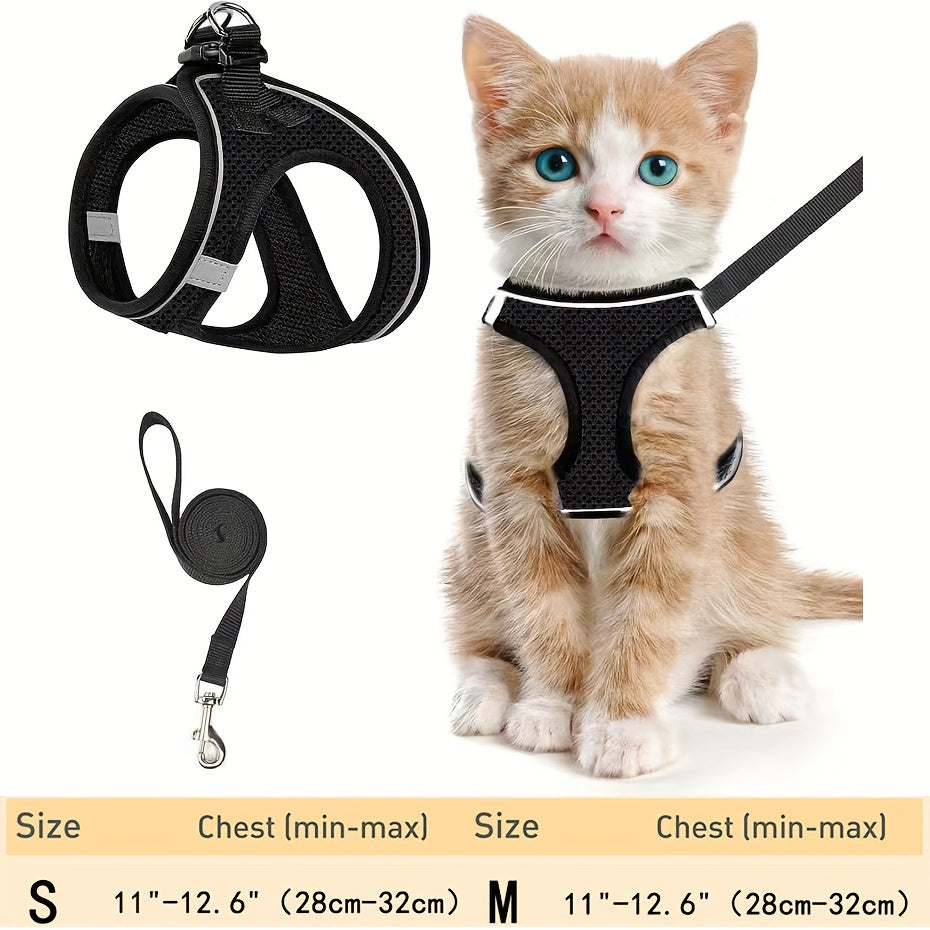 Cat Harness & Leash Set