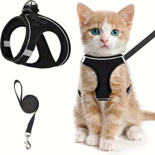 Cat Harness & Leash Set