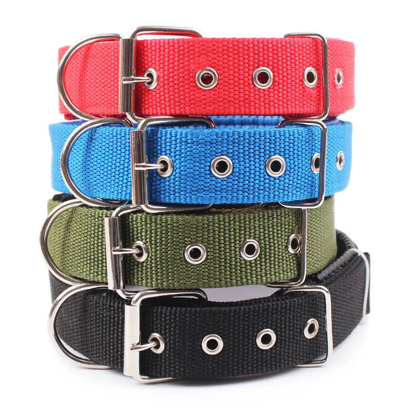 Dog Collar