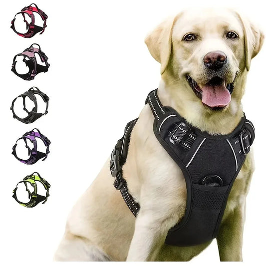 Dog Collars Big Vests Leash