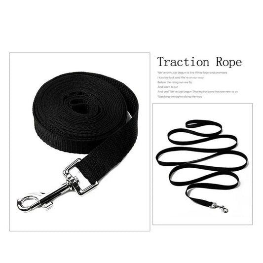 Nylon dog leash