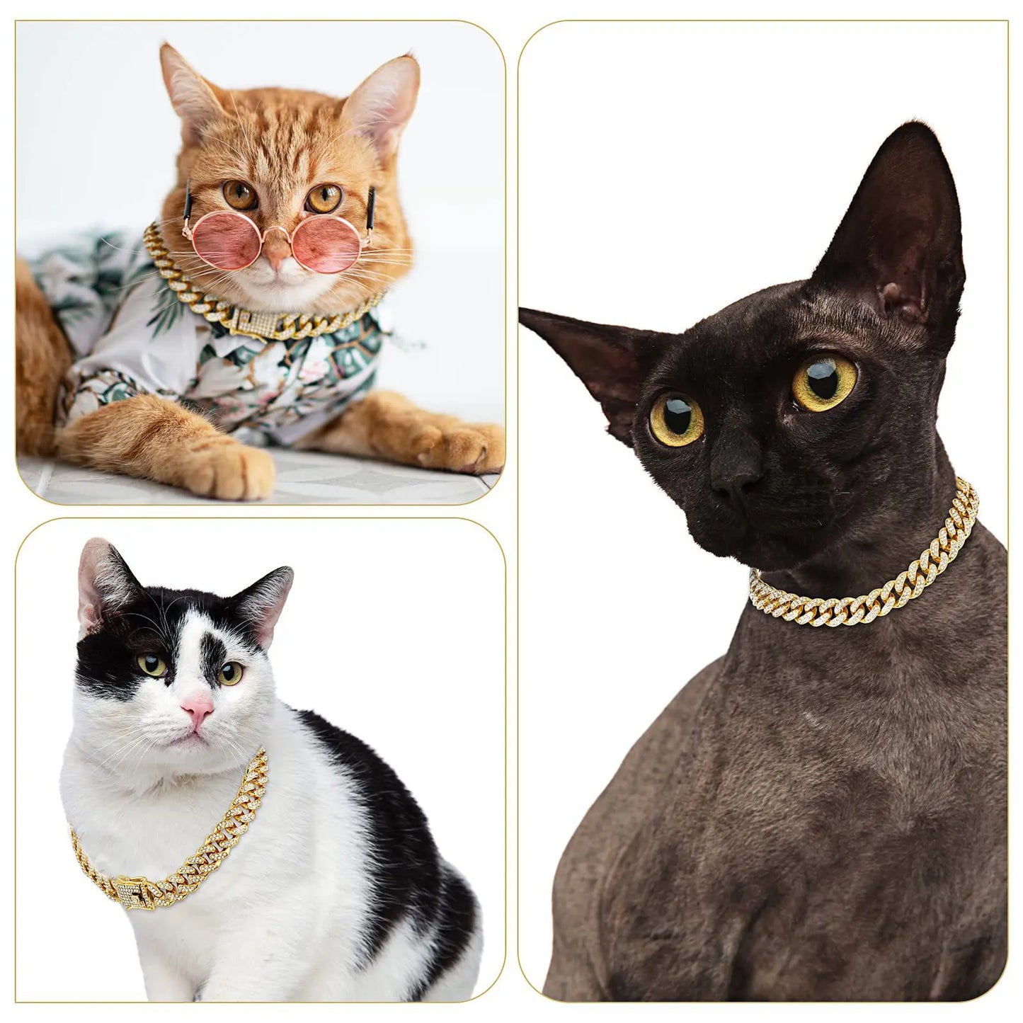 Dog Chain Diamond