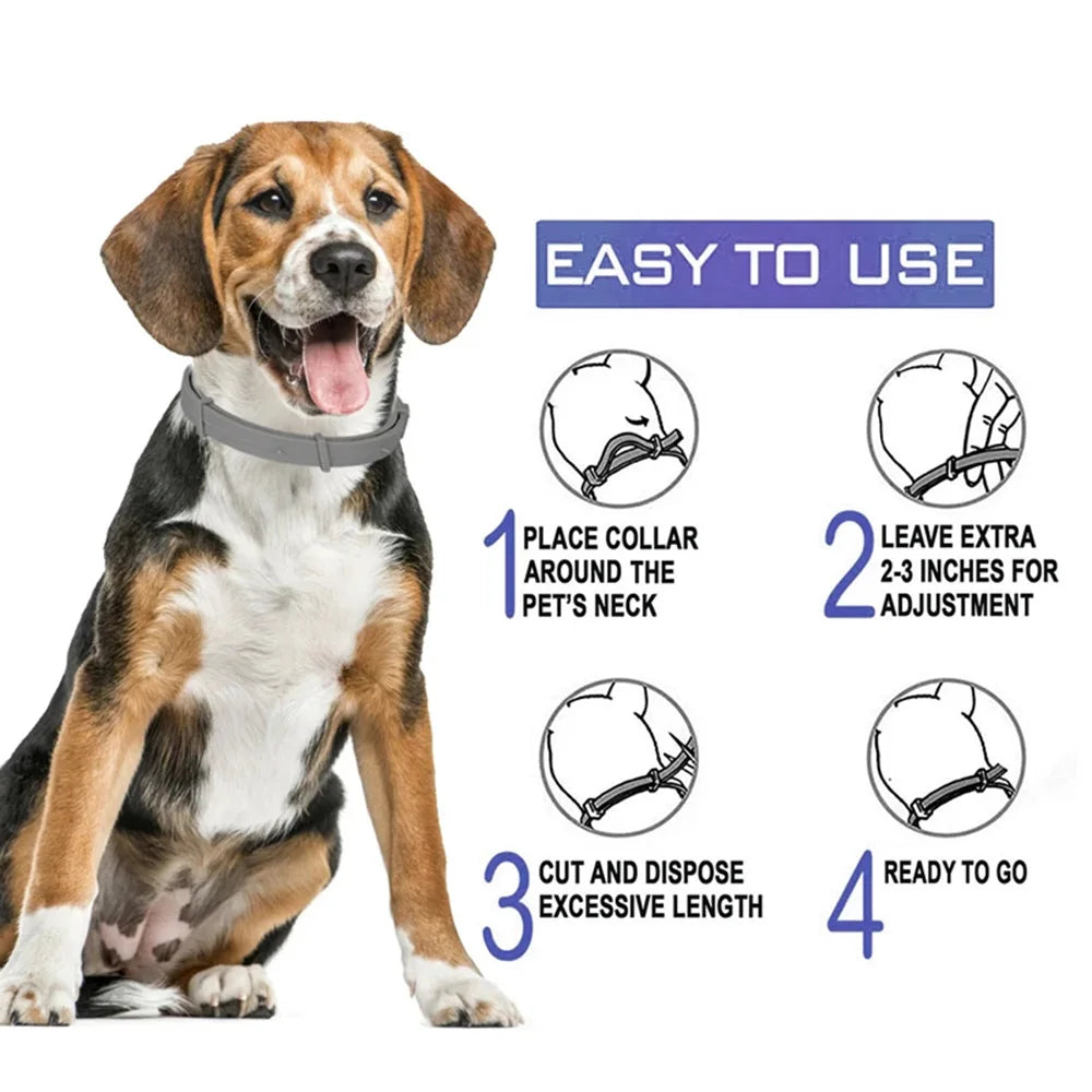 VIP Dog Collar Puppy Dog Cat