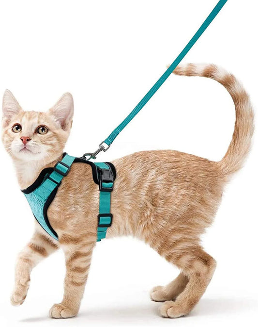 Cat Leash for Walking