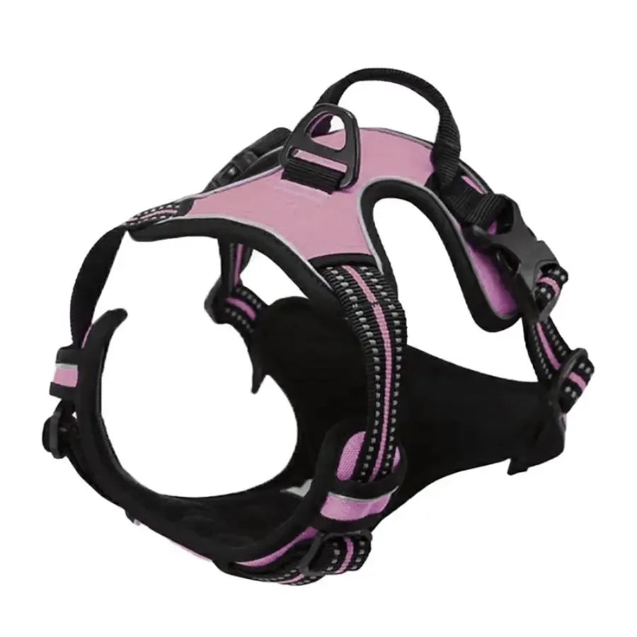 Dog Collars Big Vests Leash