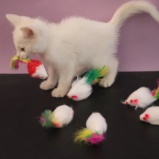 Cute Soft Fleece Mouse Colorful