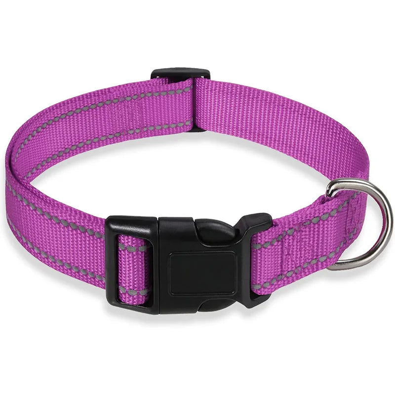 Reflective Dog Collar