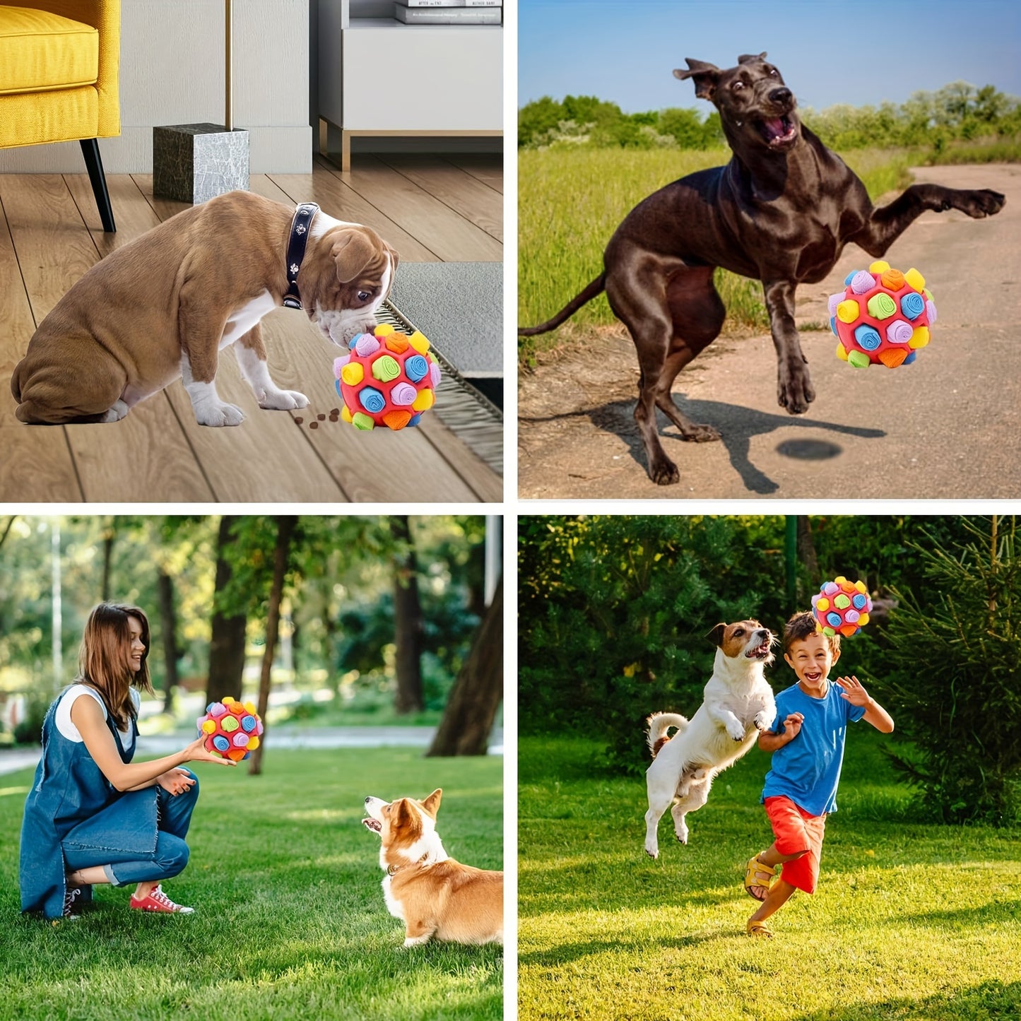 Sniffing Ball Dog Toys